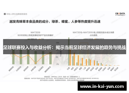 足球联赛投入与收益分析：揭示当前足球经济发展的趋势与挑战