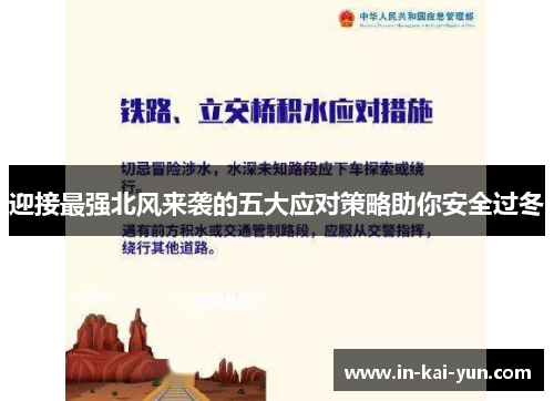 迎接最强北风来袭的五大应对策略助你安全过冬