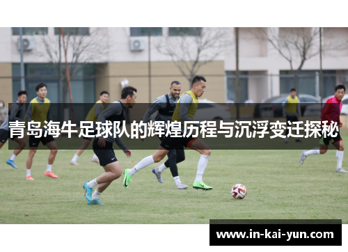 青岛海牛足球队的辉煌历程与沉浮变迁探秘 青岛海牛足球队的辉煌历程与沉浮变迁探秘