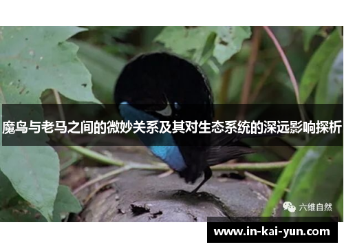 魔鸟与老马之间的微妙关系及其对生态系统的深远影响探析