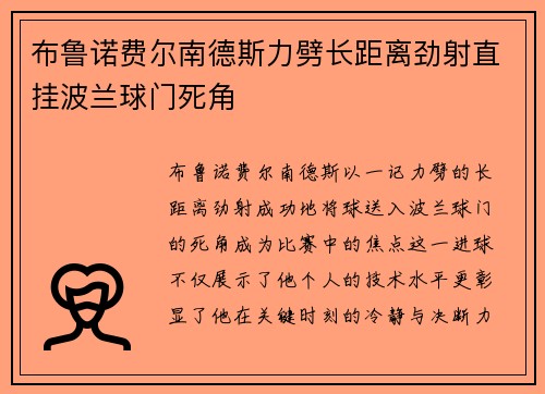 布鲁诺费尔南德斯力劈长距离劲射直挂波兰球门死角