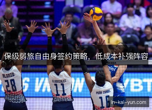 保级弱旅自由身签约策略，低成本补强阵容